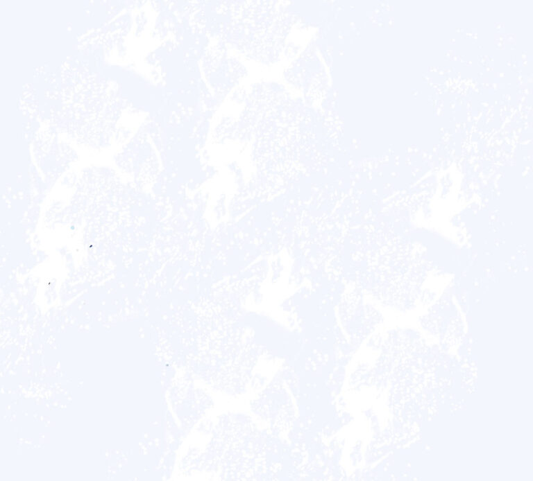 fondo-splash-blanco