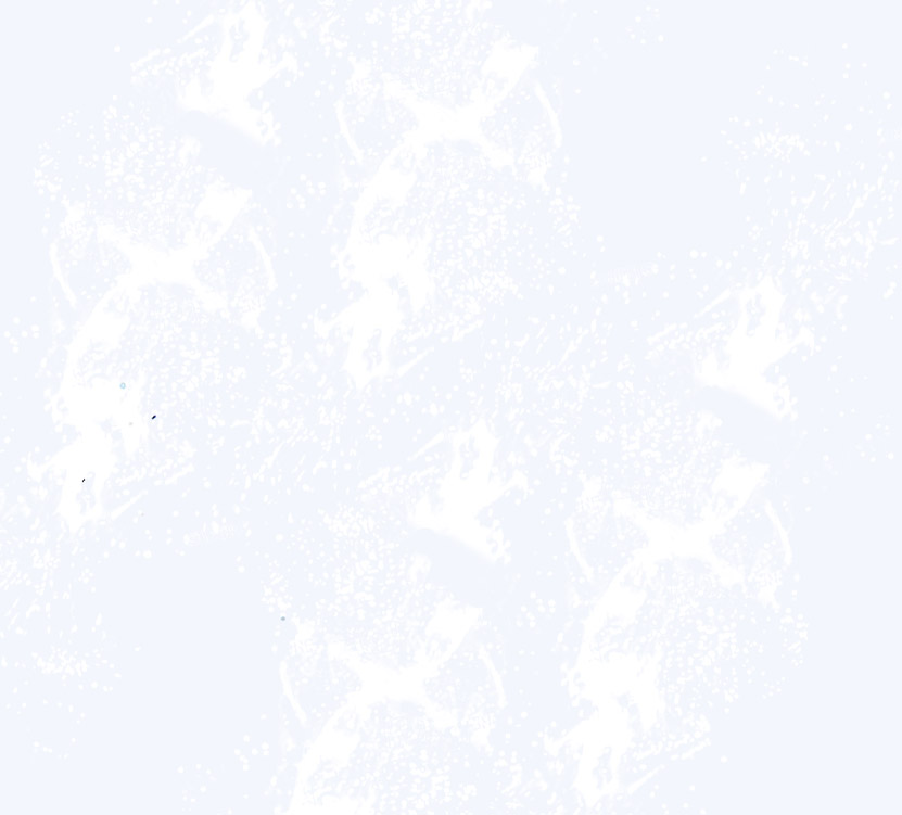 fondo-splash-blanco